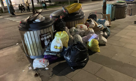 La basura invade la avenida de Oza